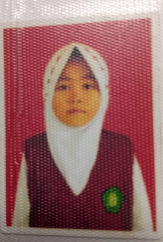 Ulfah Qurrotu Aini
